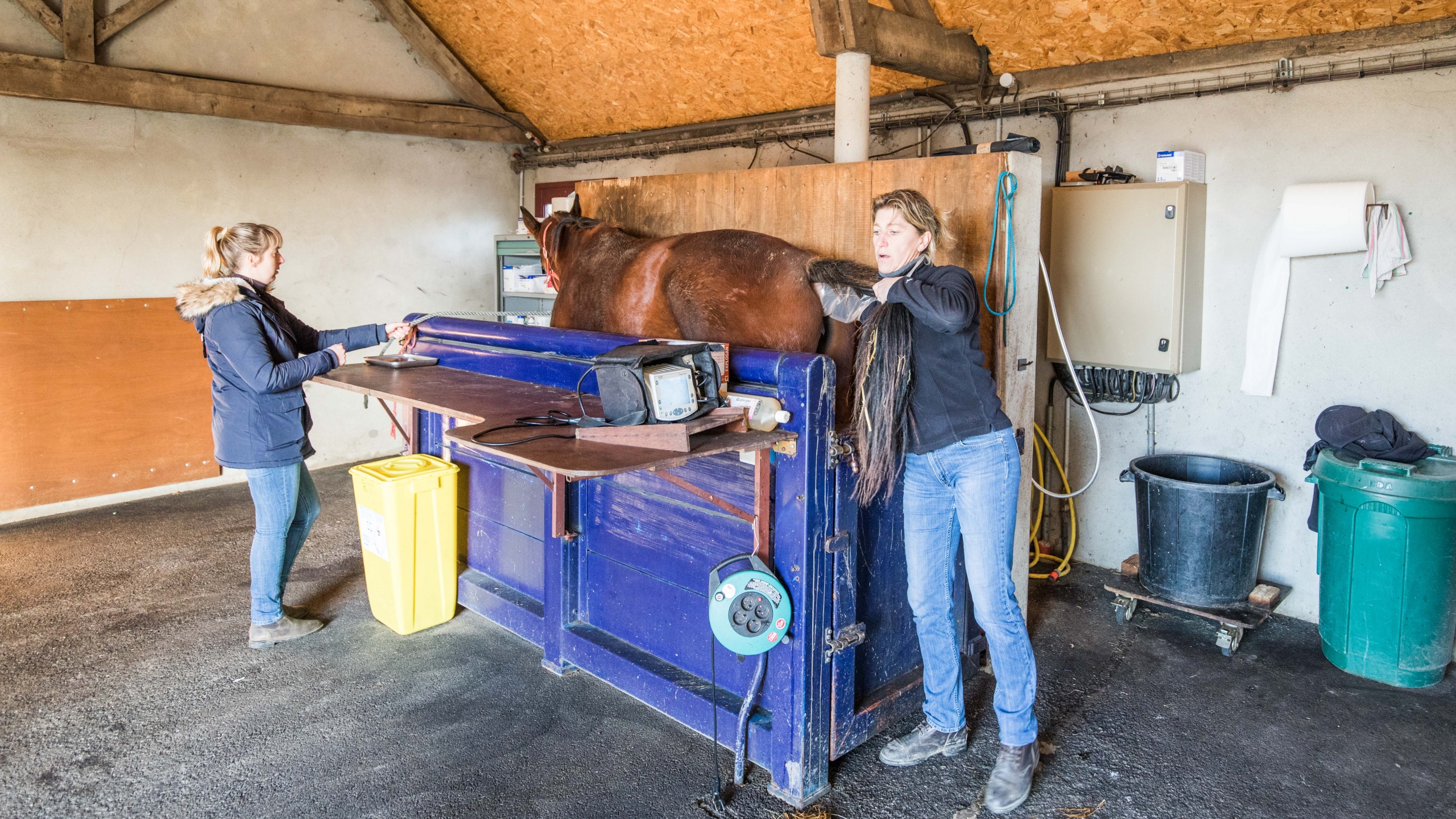 Veterinaire Sud Mayenne (386)