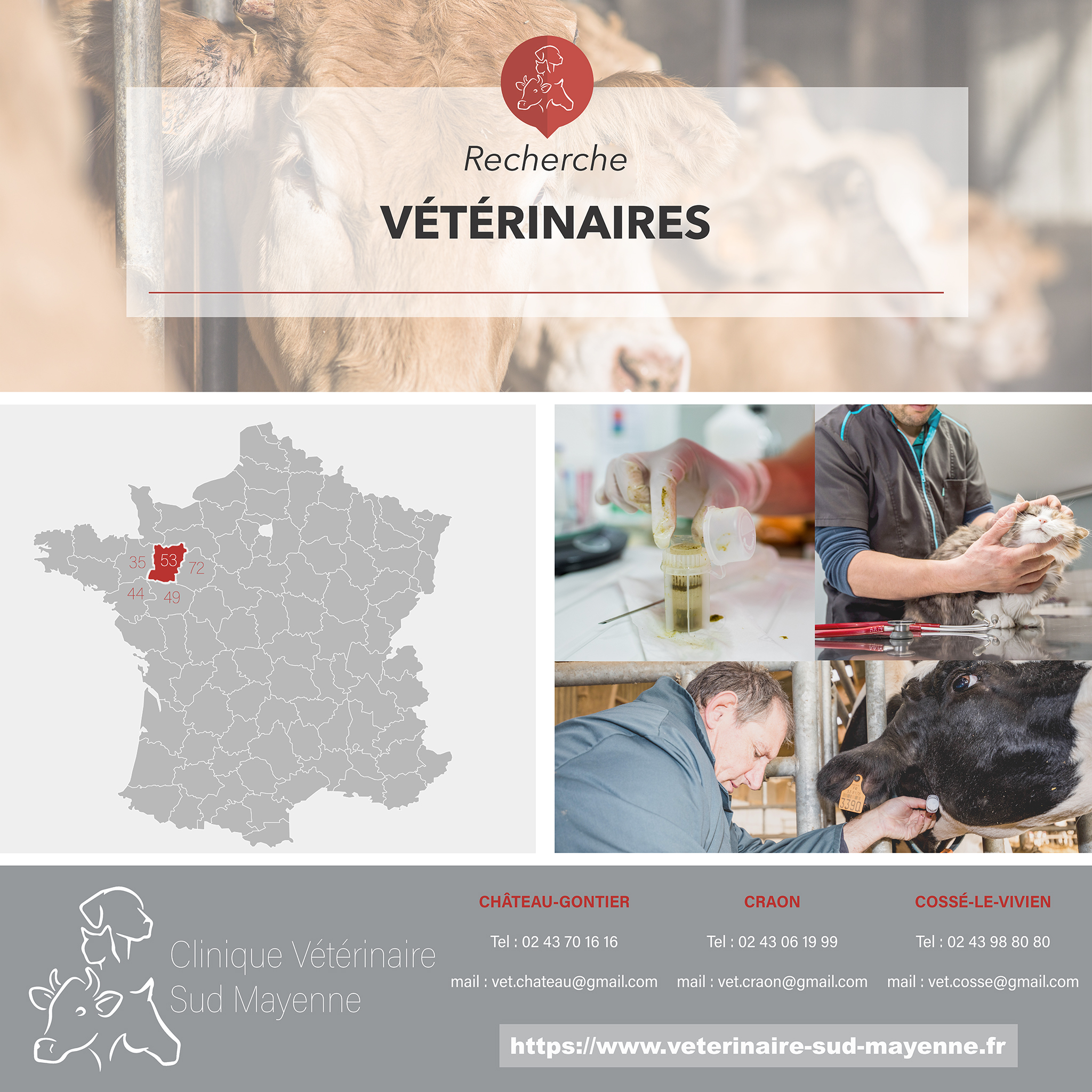 recherche veterinaires WEB Recrutement